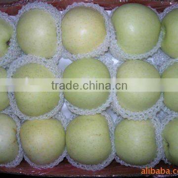 China fresh golden delicious apple