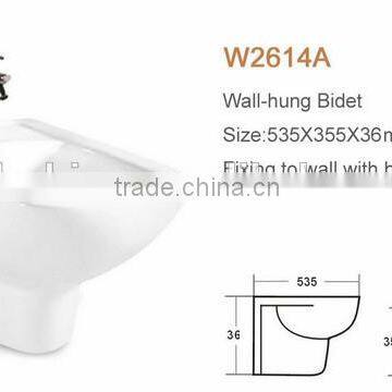 WDR Square Hand Sanitary Ceramic Clean Vagina Guangdong Bidet Seat photo-5