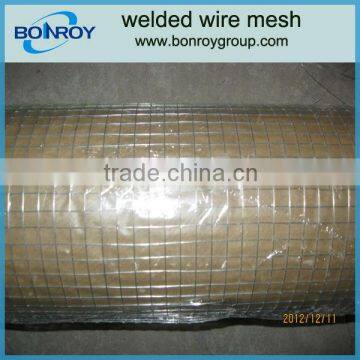 3/8" galvanized welded wire mesh