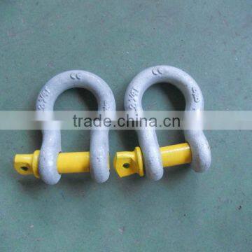 US Type Screw Pin Anchor Shackle