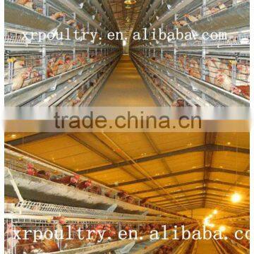 Professional low price equipment"H" type and "A" type chicken cages