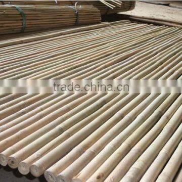 High Quality Straight Farming Bamboo Poles tonkin bamboo