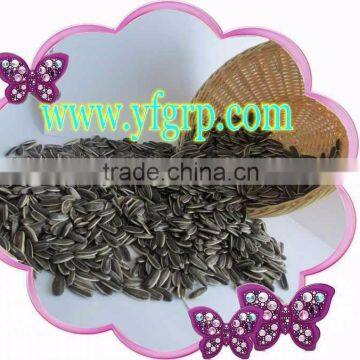 Sunflower Seeds With Cheap Price