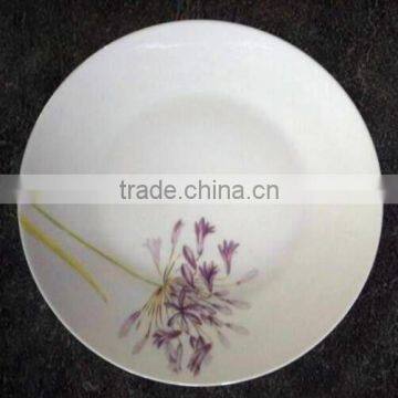 dinner plates for weddings / catering dinner plates / customized dinner plates for restaurants