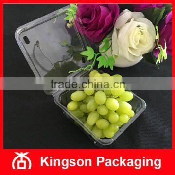 Disposable Plastic Fruit Punnet