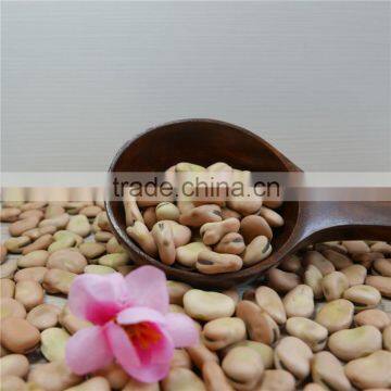 soybean yellow bean 2016 crop good price high quality