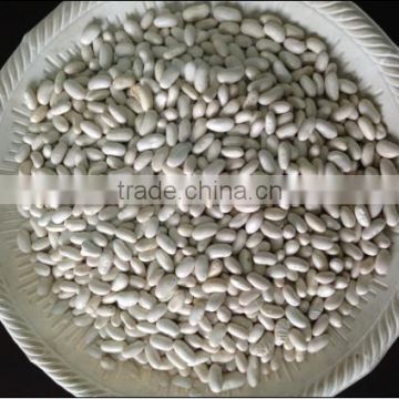 baishake white kidney beans,white beans,kidney beans long shape