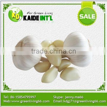 Commercial Garlic Peeler