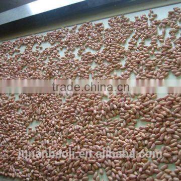 201 new crop peanut kernels