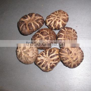 DRIED ORGANIC EDIBLE SHIITAKE MUSHROOM