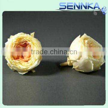 Yellow Color High Quality Wedding Decoration 4-5cm Big Preserved Roses Austin