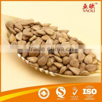 bulk apricot seeds