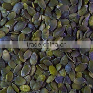 pumpkin seed kernels GWS A