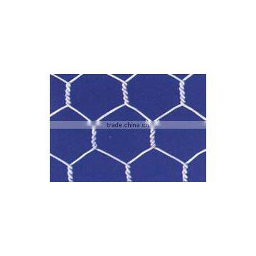 Hexagonal Wire Netting