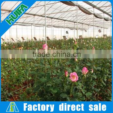 Portable Multi-span Plastic Greenhouse for Sale