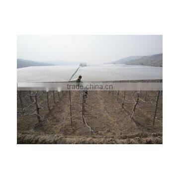 HDPE Anti-Hail Netting photo-5