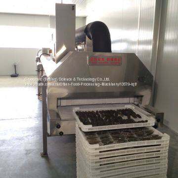 Cryogenic Freezer, Iqf Freezer, 300kg per Hour photo-3