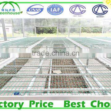 Commercial Frp Greenhouse for Agricultural photo-5