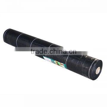 Strawberry Protect Plastic Cover Colth photo-4