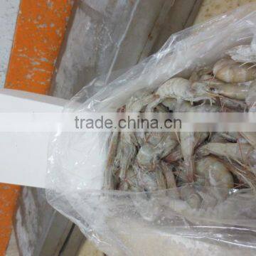 Frozen Vannamei HOSO photo-5