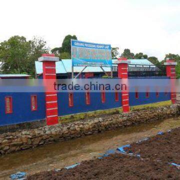 Gracilaria Seaweed With Good Quality