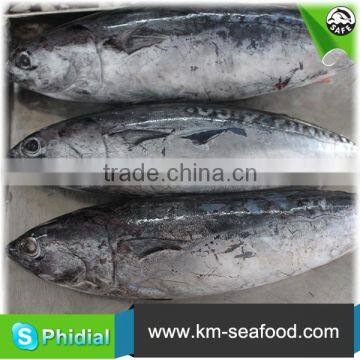 Carton or Woven Bag Packed Fat Content 16%-18% Seafish photo-6