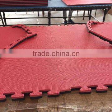 High Quality EVA Taekwondo Mat/ MMA Mat/colorful Tatami Mats photo-3
