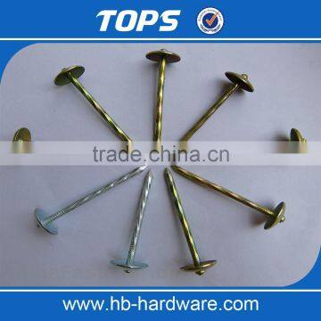 Galvanized Umbrella Head Roofing Nails With Smooth/Twist Shank by Low Price photo-5