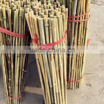 Excellent Quality Factory Price Garden Bamboo Canes for Sale photo-2