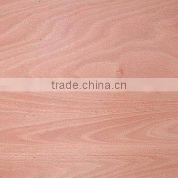 OKOUME FACED COMMERCIAL PLYWOOD