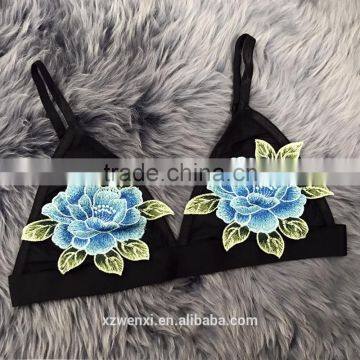 Sexy Bra and Panty New Design Sexy Hotlace Triangle Bra Girls Sex Picture Sexy Boob Bra Tank Top Lingerie