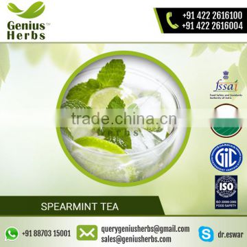 Premium Spearmint Tea at your Door Step