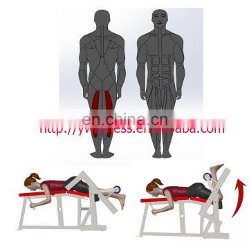 Gym Equipment Plate Loaded Hammer Strength Iso-Lateral Leg Curl Machine-1627