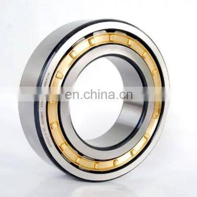 Hot Selling Factory Price Silver NU216 Double Row Cylindrical Roller Bearing Carbon RN309