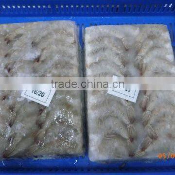 Frozen Vanamei Shrimp photo-4