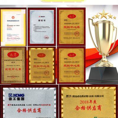 Wholesale Sany Excavator Spare Parts for SY75/SY135/SY215 Hydraulic Pump Solenoid Valve Control Lever Compatible photo-6