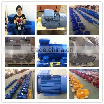 Different Color OEM Electric Motor For Your Own Brand China Factory photo-6