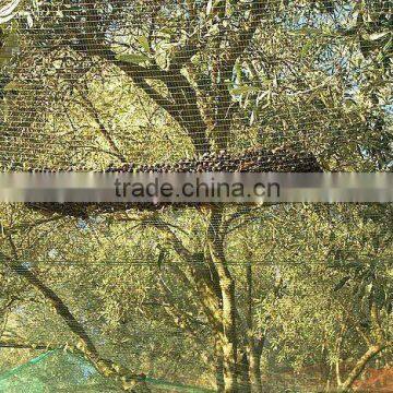 agriculture olive net,olive harvest/collecting net ,Agricultural Olive Net