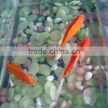 Glow Stone for Aquarium Decoration photo-4