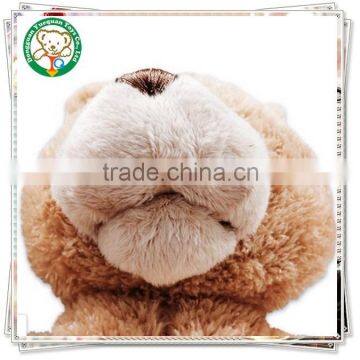 Custom Teddy Bear Plush Toys photo-3