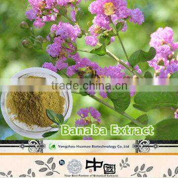 Looking for products to represent banaba leaf extract