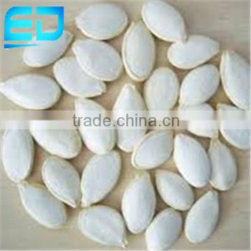 China Pumpkin Seeds Price, Snow White Pumpkin Seeds, Pumpkin Seeds Price