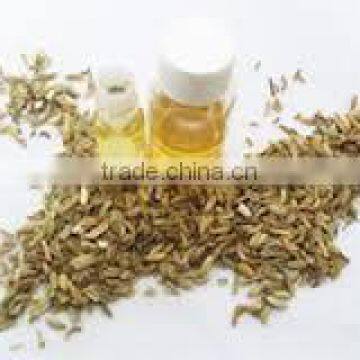 Fennel Oil (Foeniculum vulgare)