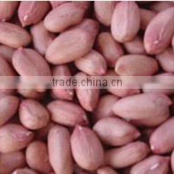 china peanut kernel luhua 24/28 pink skin cheap price factory