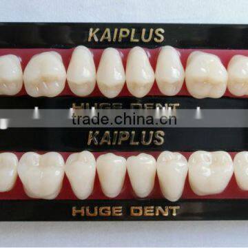 Four layers composite material kaiplus Synthetic polymer teeth