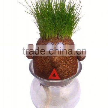 High Quality Cheap School Science Education Kit photo-5