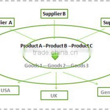 Professtional Door to Door Service Amazon Fba Shipping Company From China to USA Amazon----Apple