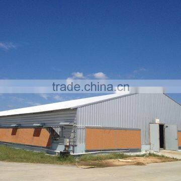 automatic chicken cage for poultry farm