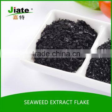 2016 hot selling seaweed for sale