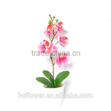 Real touch Elegant artificial Orchid in ceramic pot